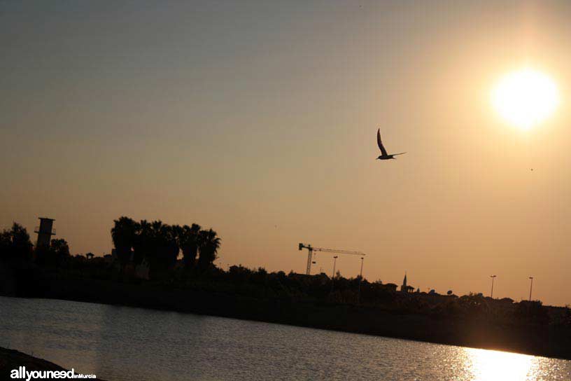 Centro de Visitantes "Las Salinas" en San Pedro del Pinatar