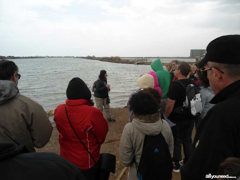 Centro de Visitantes "Las Salinas" en San Pedro del Pinatar