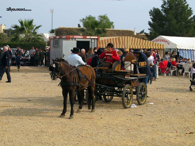 Romería de San Blas en Santiago de la Rivera. San Javier