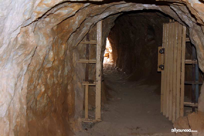 El Cabezo Gordo en Torre Pacheco. Puerta de acceso a la Sima de las Palomas