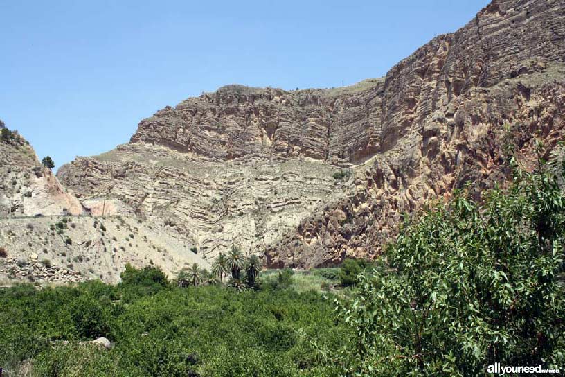 Valle de Ricote. El Solvente