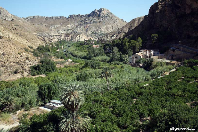 Valle de Ricote. Vistas desde el mirador del Solvente