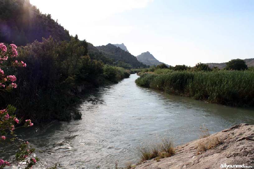 Valle de Ricote. Ruta de las Norias en Abarán