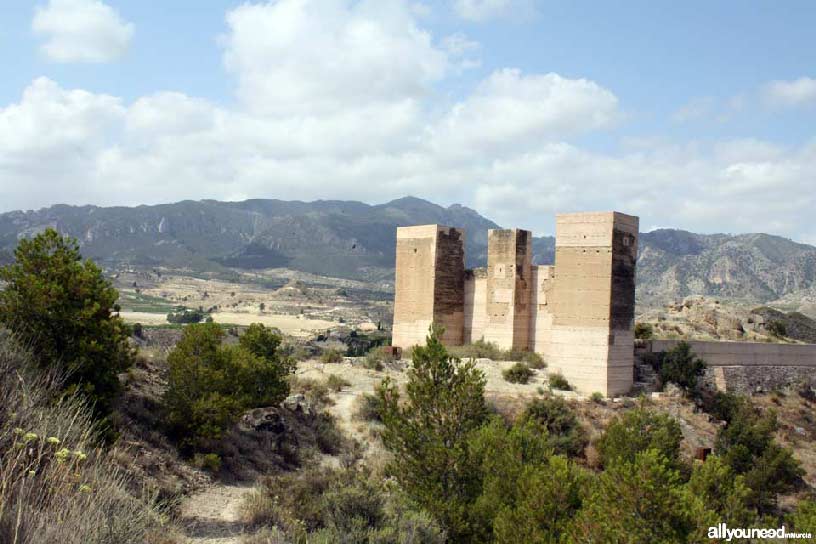 Valle de Ricote. Castillo de Blanca