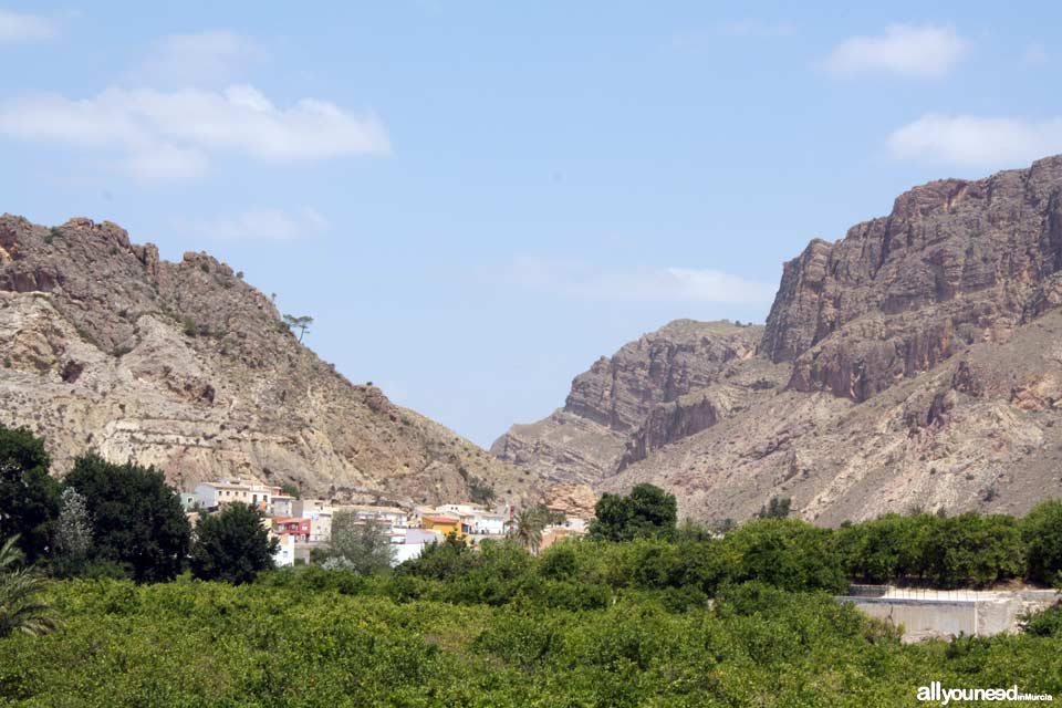 Descubriendo paisajes en el Valle de Ricote. Ojós.