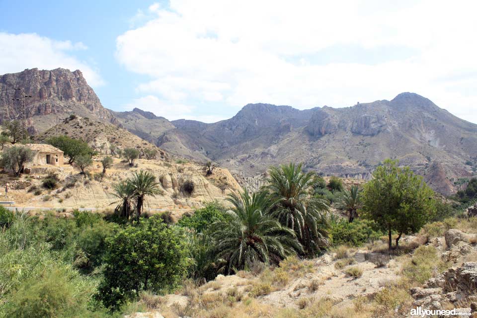 Descubriendo paisajes en el Valle de Ricote. Ricote