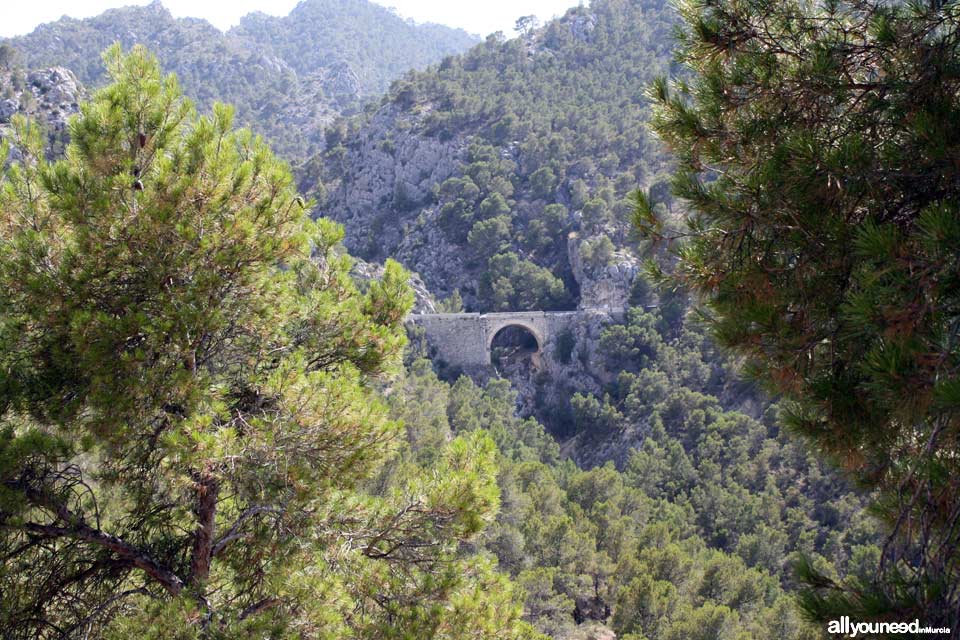 Descubriendo paisajes en el Valle de Ricote. Ricote