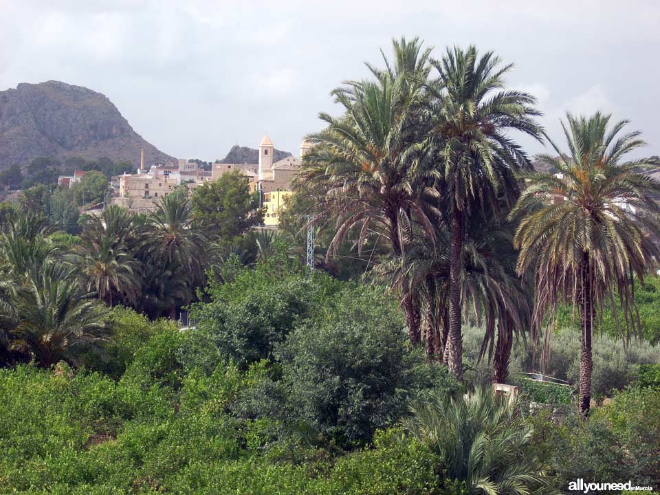 Descubriendo paisajes en el Valle de Ricote. Villanueva del Río Segura