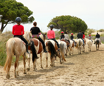 Active Tourism and Adventure in Murcia. Horse riding