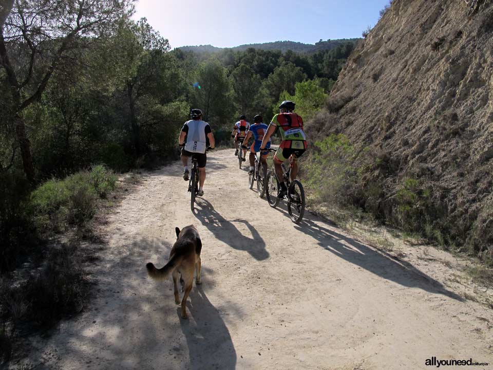 Turismo Activo y de Aventura en Murcia. Bicicleta de montaña