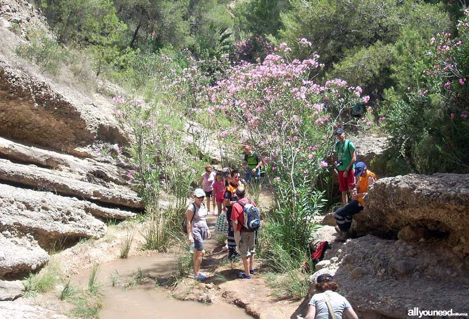 Turismo Activo y de Aventura en Murcia. Senderismo por el río Chícamo en Abanilla