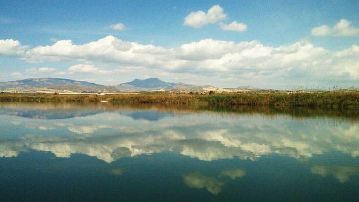 Ruta ecológica y taller en Campotéjar