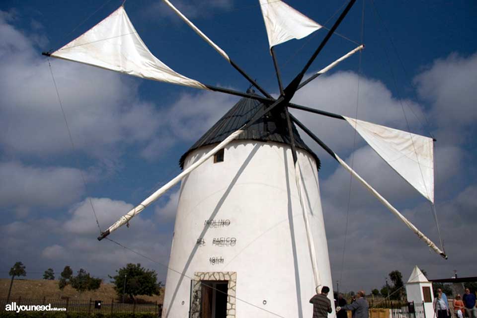 Windmills in Torre Pacheco