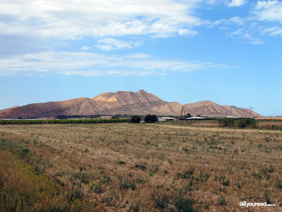 Subida al Cabezo Gordo. Torre Pacheco