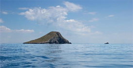 Paseos en Barco por el Mar Menor