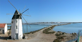 Rutas Ecoturísticas en San Pedro del Pinatar 2015