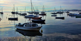 Paseo en Barco por el Mar Menor en Inglés