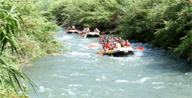 Emociones y Experiencias por el Río Segura