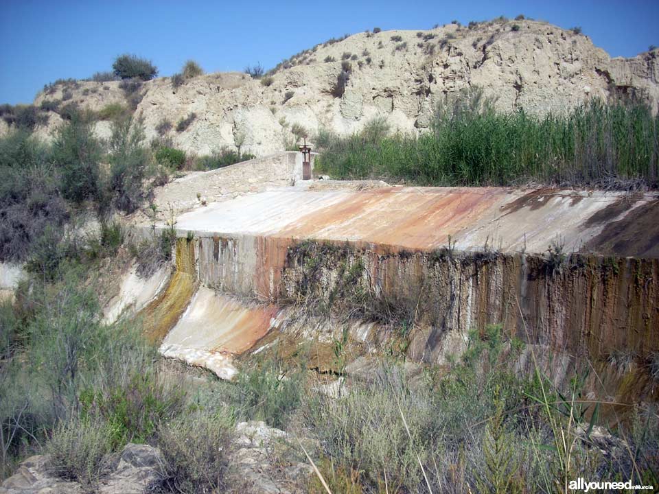 11 - Azud de El Partidor. Ruta guiada del río Chícamo en Abanilla