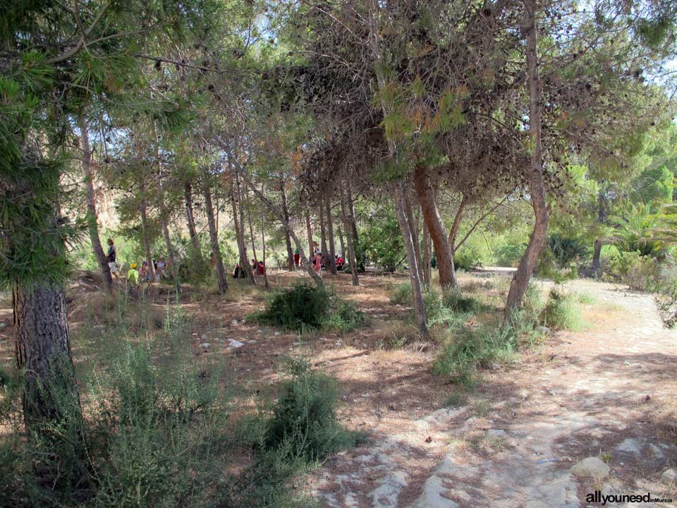 14 - Almuerzo. Ruta guiada del río Chícamo en Abanilla