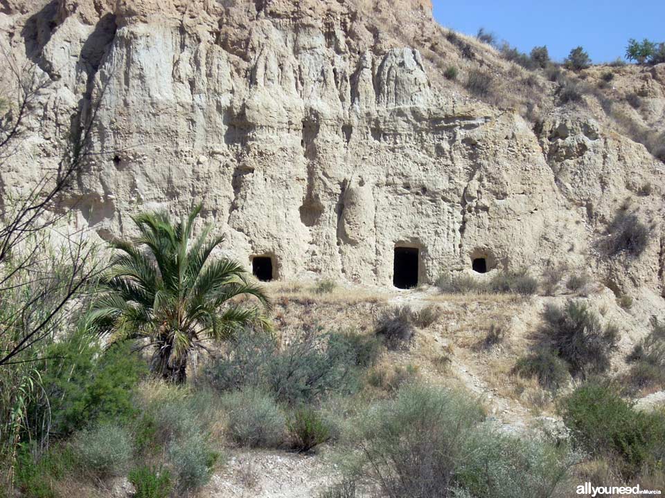 15 - Cave Houses. Guided tour of Chícamo River 