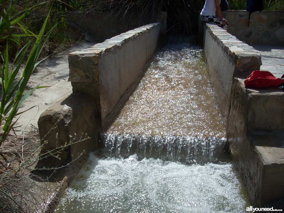 16 - Para refrescarse. Ruta guiada del río Chícamo en Abanilla