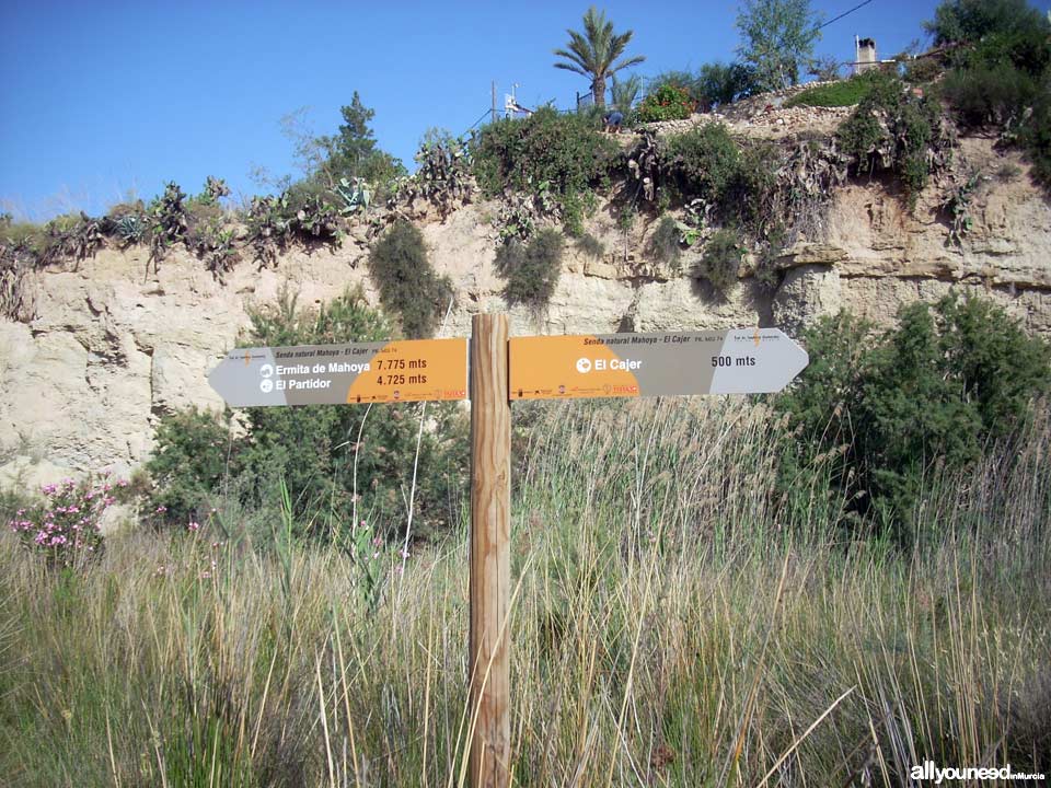2 - La Umbría. Ruta guiada del río Chícamo en Abanilla