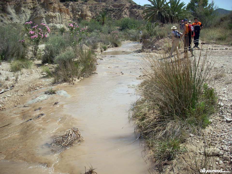 20 - Río Chícamo. Ruta guiada del río Chícamo en Abanilla