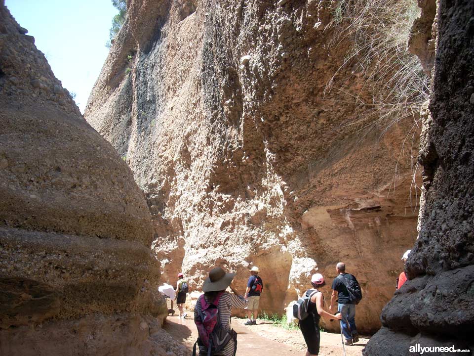 21 - Empezamos el Cañón. Ruta guiada del río Chícamo en Abanilla