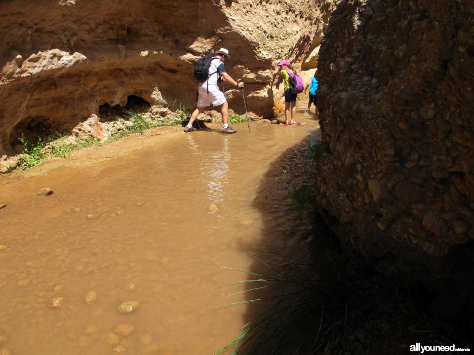 23 - Hay que mojarse. Ruta guiada del río Chícamo en Abanilla