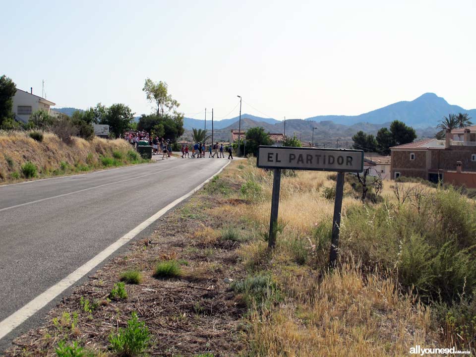 5 - Cruzamos carretera para coger la Senda. Ruta guiada del río Chícamo en Abanilla