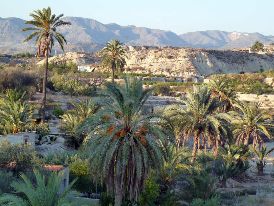 Panoramic Views of Abanilla 