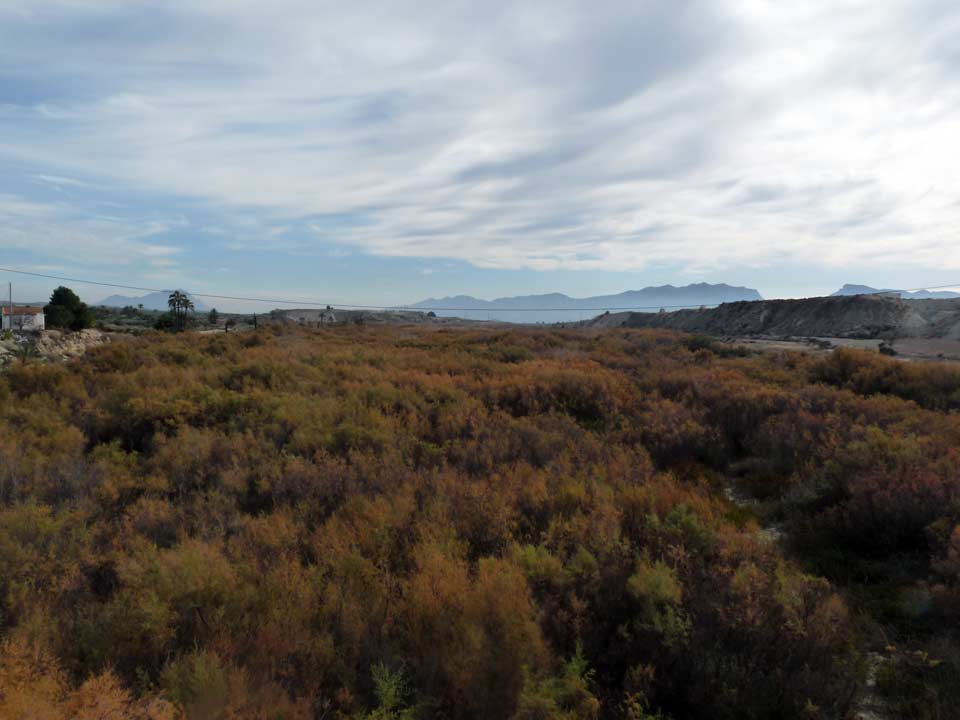 Panorámicas en Abanilla