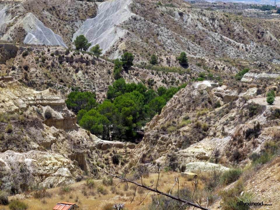 Panorámicas en Abanilla