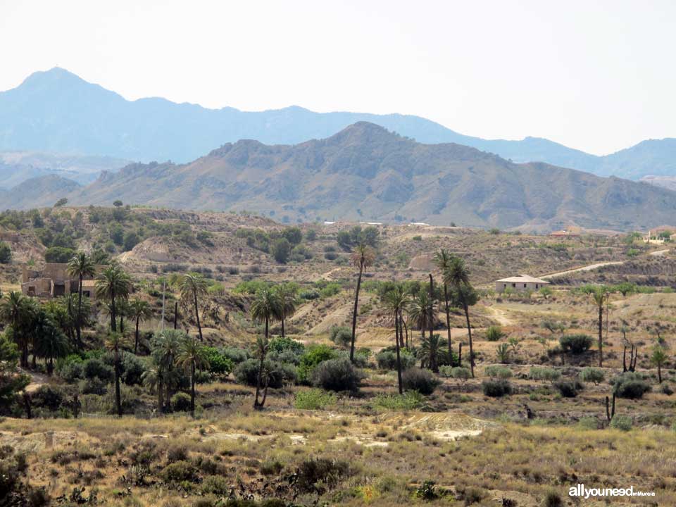 Panoramic Views of Abanilla