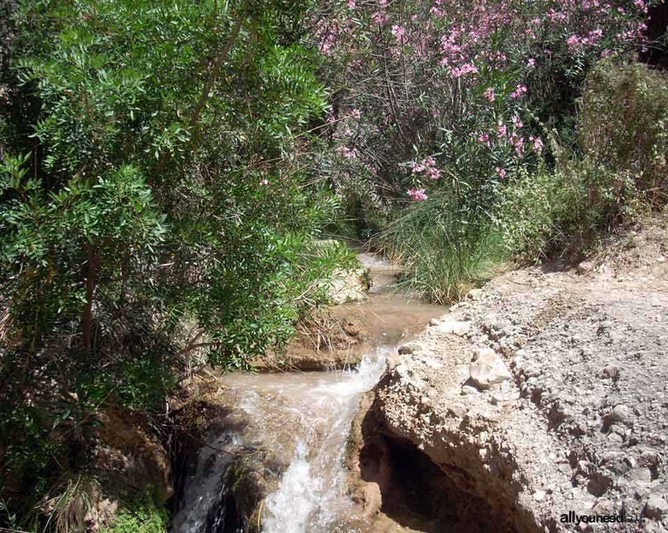 Río Chícamo de Abanilla