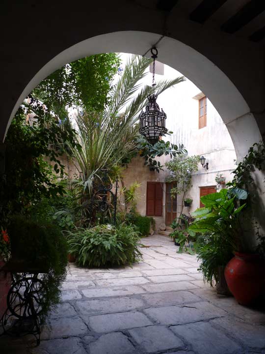 Commandancy Building. Backyard