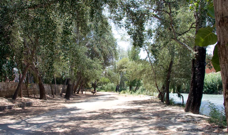 Paseo del Parque de Abarán