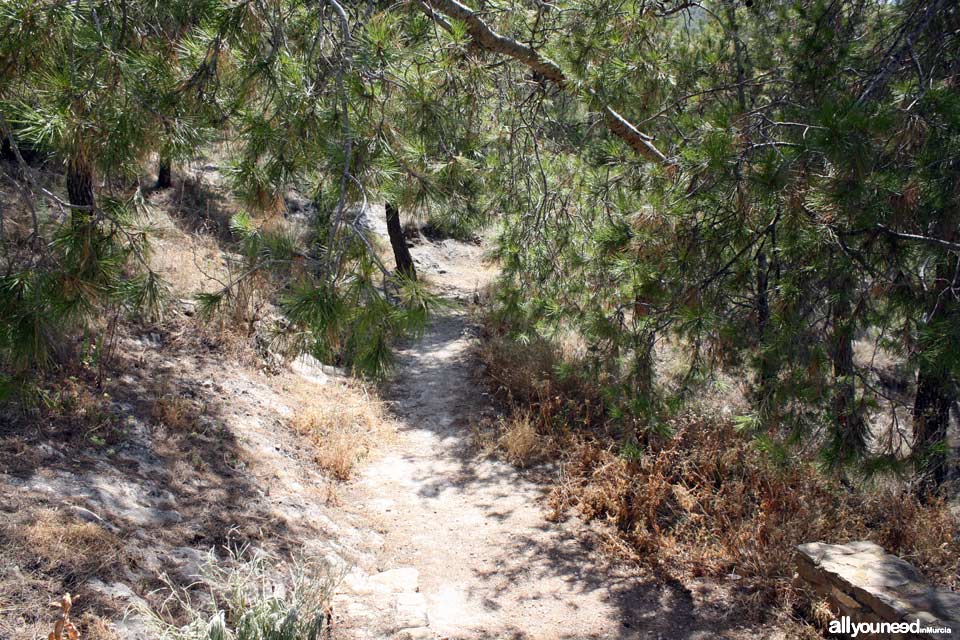 Sendero Mirador de la Cruz de Abarán