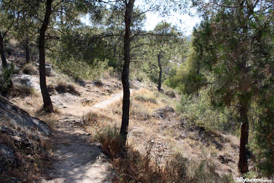 Sendero Mirador de la Cruz de Abarán