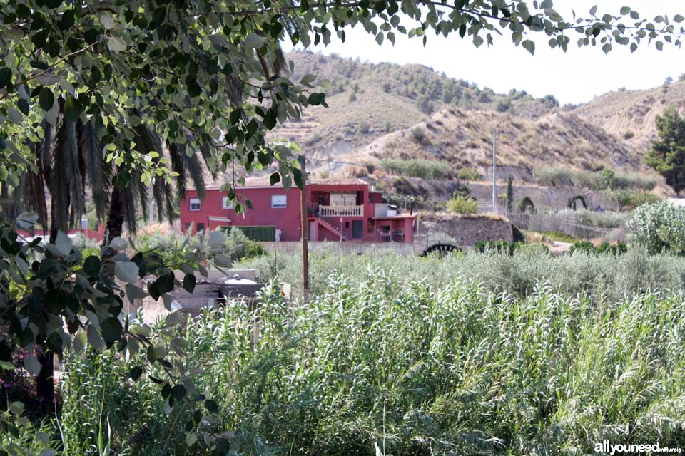 Noria de Candelón en Abarán