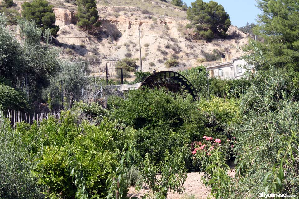 Candelón Waterwheel in Abarán. Spain