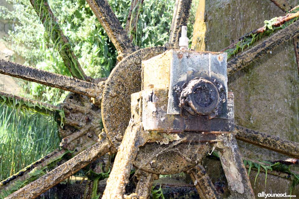 Candelón Waterwheel in Abarán. Spain