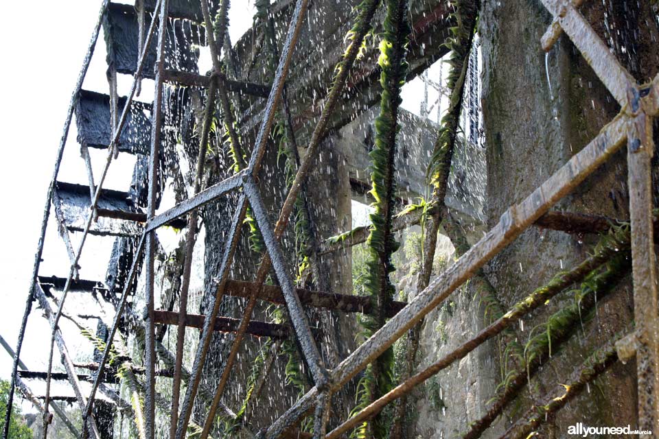 Candelón Waterwheel in Abarán