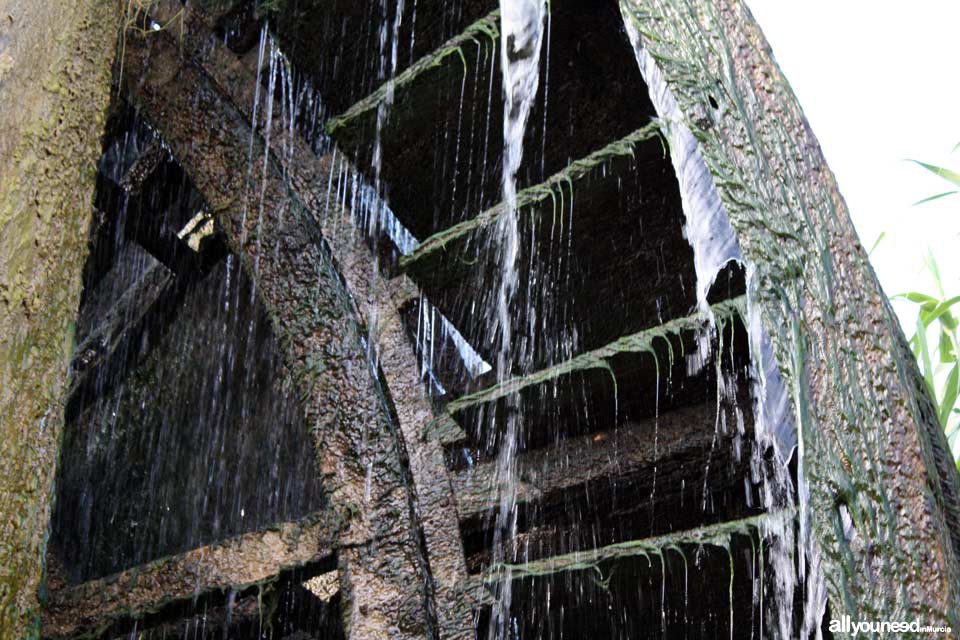 Noria de la Hoya D. García en Abarán