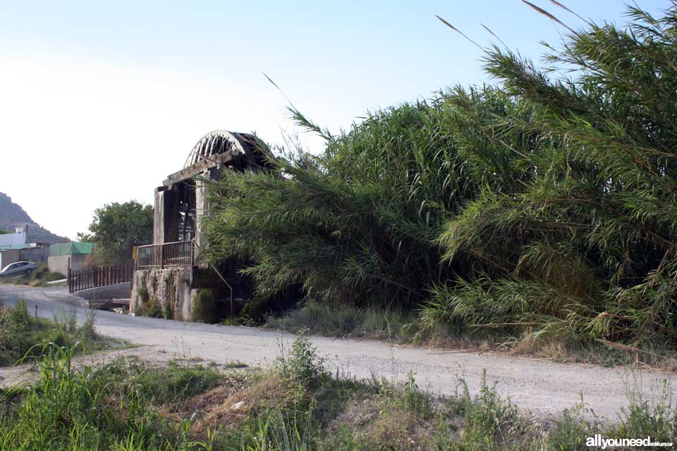 Noria de la Hoya D. García en Abarán
