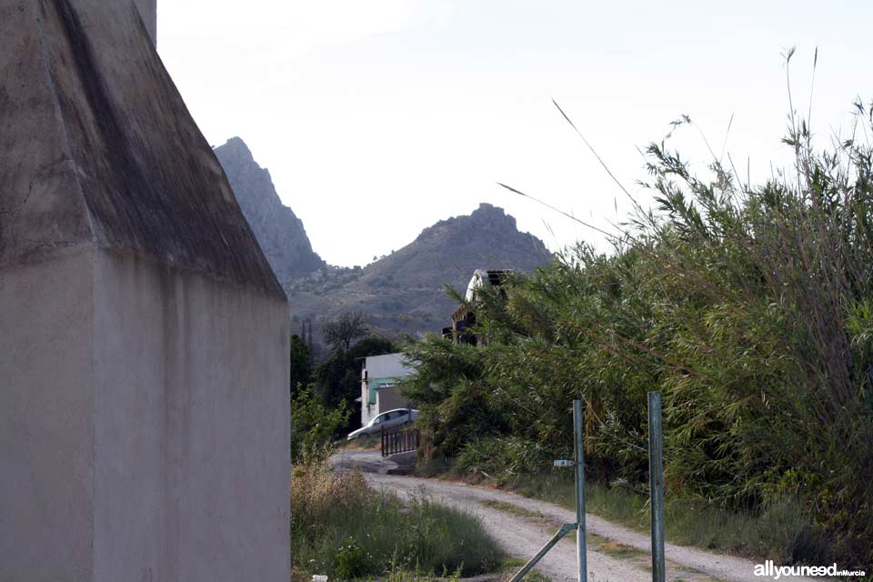 Noria de la Hoya D. García en Abarán