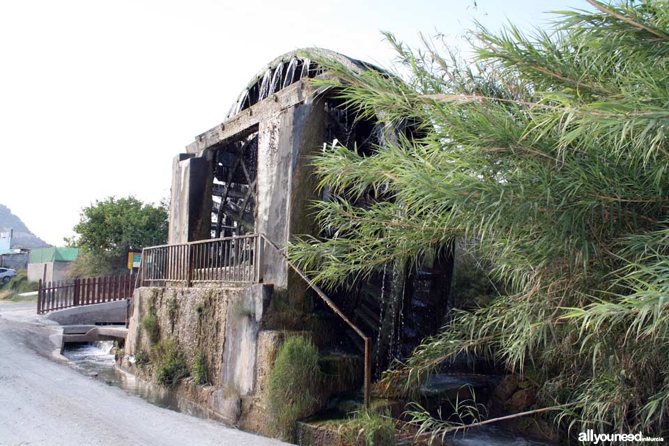 Noria de la Hoya D. García en Abarán