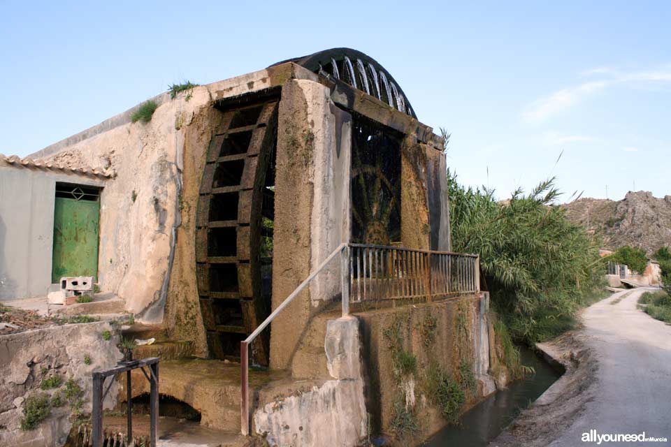 Noria de la Hoya D. García en Abarán