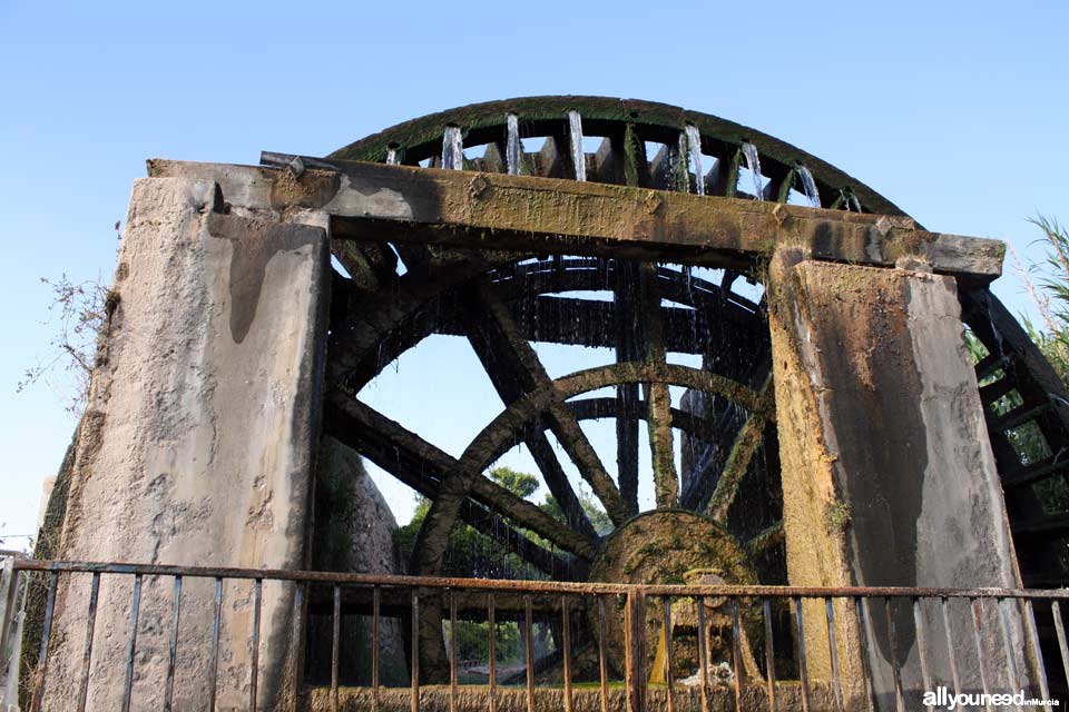 Noria de la Hoya D. García en Abarán
